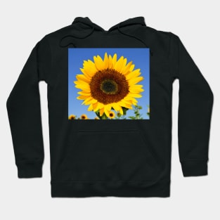 A Flower of Sun Hoodie